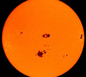 Sunspots and Harmful Algal Blooms